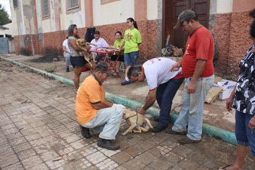 Vacinação contra a raiva em Bariri será em outubro