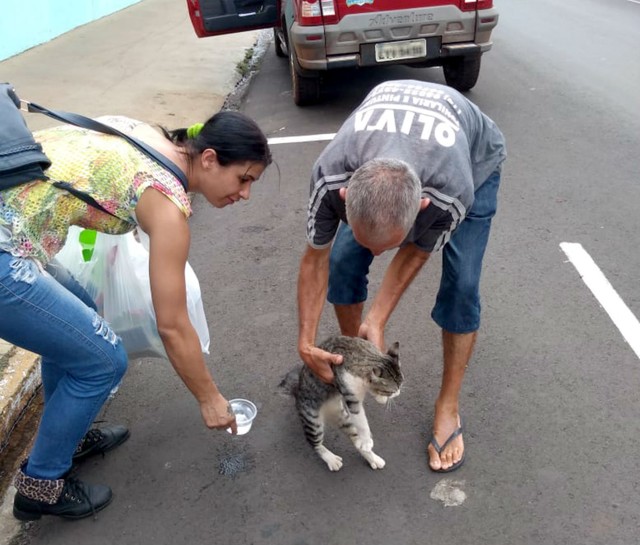 Pederneiras: Moradores se arriscam em telhado para resgatar gato e animal cai no chão
