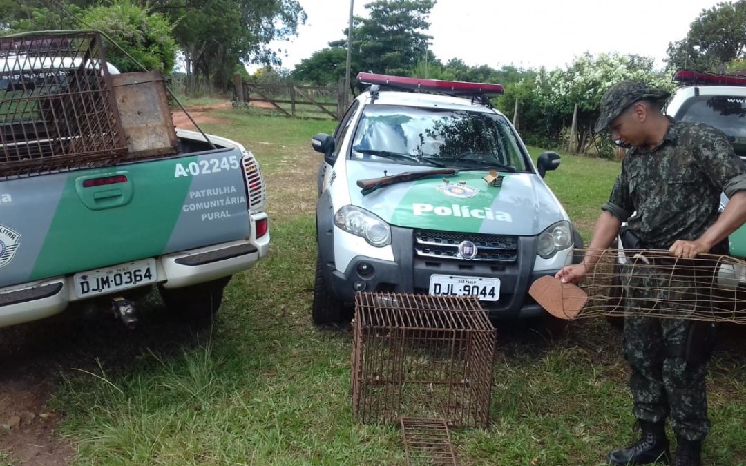 PM Ambiental localiza espingarda, munições e armadilhas em Arealva