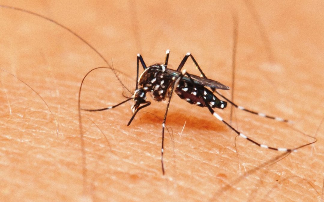 Setor confirma mais dois infectados, e Bariri registra nove casos de dengue