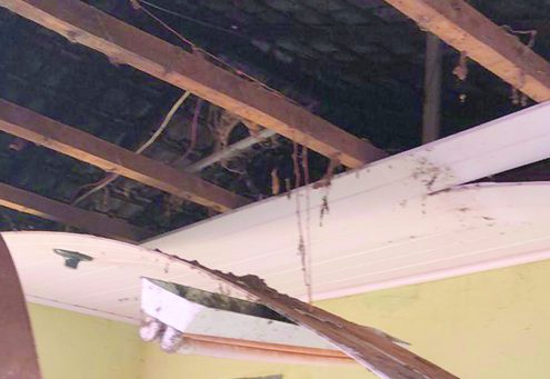 Focinho Carente promove sorteio de prêmios para quitar dívidas