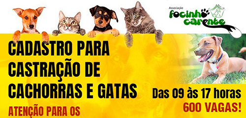 Focinho Carente realiza cadastro para castrações gratuitas