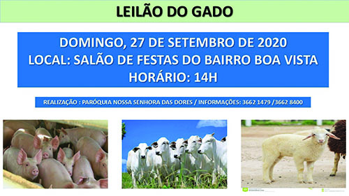 Leilão de Gado da Padroeira será no Boa Vista