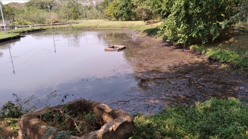 Manancial São Luiz está em situação crítica
