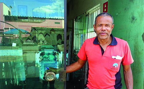 Projeto concede o prêmio Zumbi dos Palmares a Elton Antonio