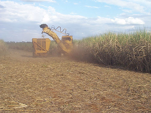 Bariri: DC Bio finaliza safra 2020 com alta na ATR