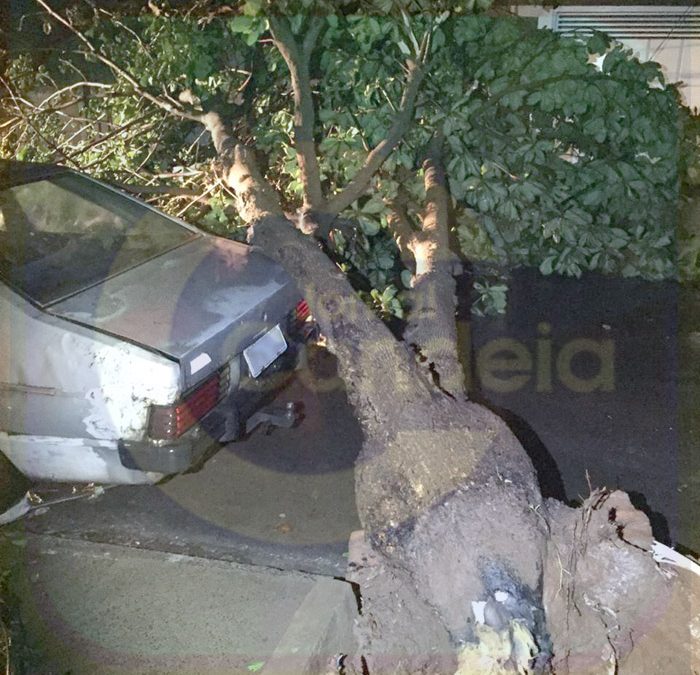 Bariri: Chuva e vento causam alagamentos, quedas e falta de energia