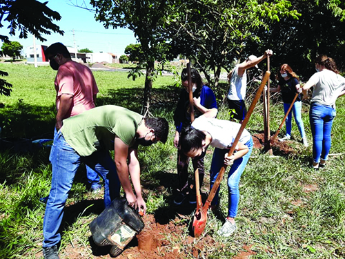 Padre Ériko promove plantio de árvores no Dia de Finados