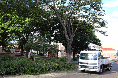 Empresa realiza poda de árvores em Bariri