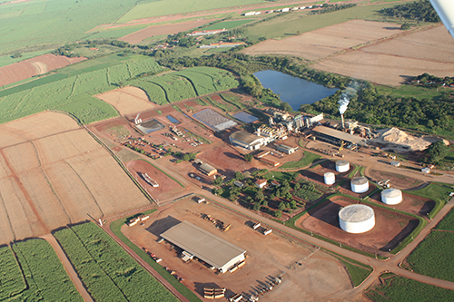 DC Bio inicia safra segunda-feira com 950 funcionários