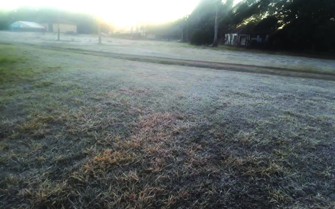 Bariri registra mais uma geada na madrugada de terça-feira