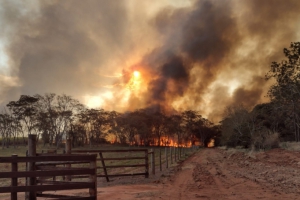 Incêndio de grandes proporções atinge vegetação entre Jaú e Bocaina
