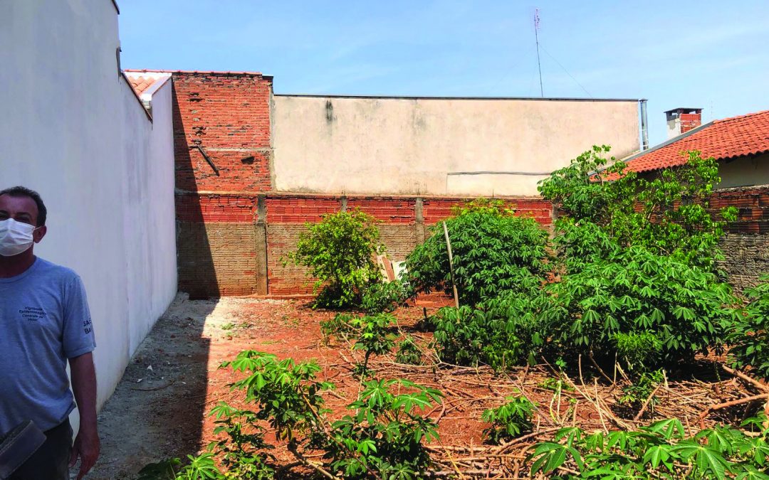 Escorpiões preocupam moradores do Cidade Jardim