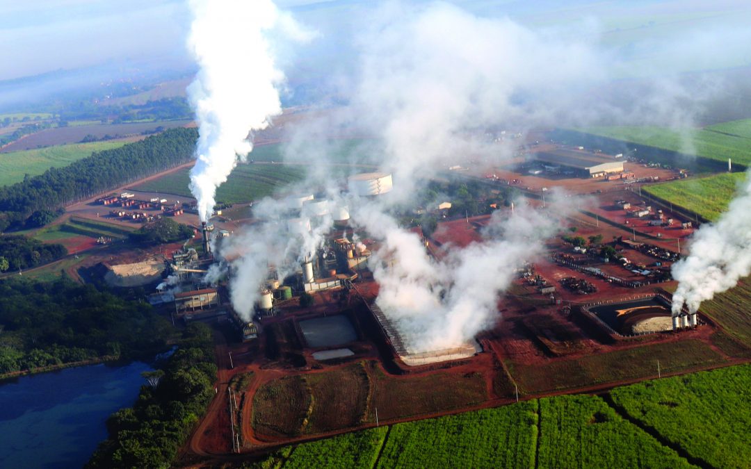 DC Bio finaliza safra 2021 e destaca rendimento industrial da colheita