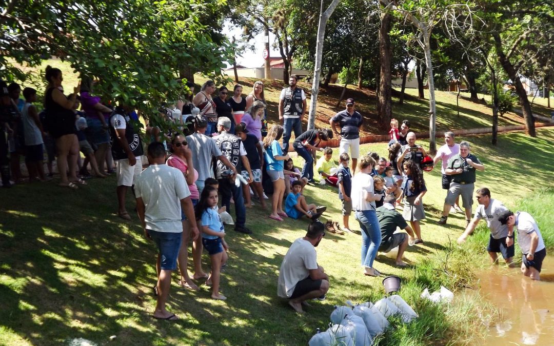 Iniciativa faz soltura de 4 mil alevinos no Lago Municipal