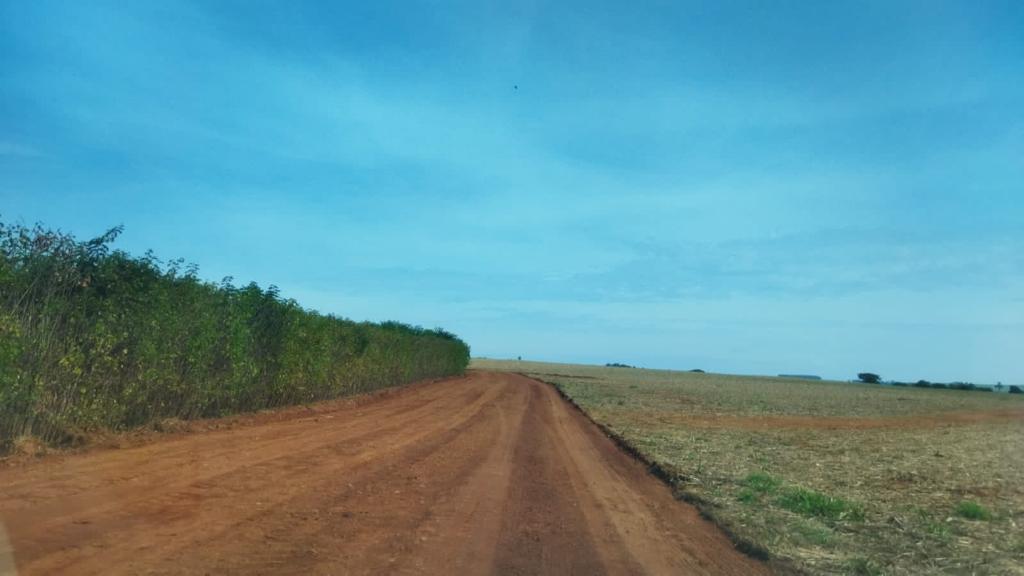 Bom desempenho do setor agropecuário leva a saldo positivo de emprego