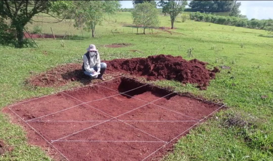 Pesquisadores estudam vestígios no sítio arqueológico da Queixadinha