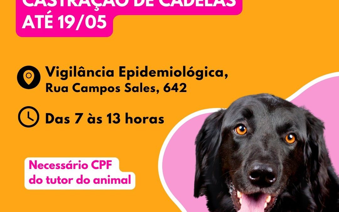 Bariri: Vigilância Epidemiológica inscreve para castração de cadelas até sexta-feira