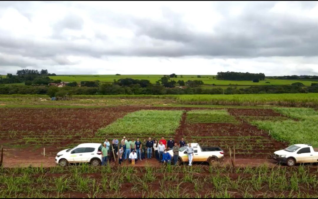 Assobari realiza edição de Dia de Campo