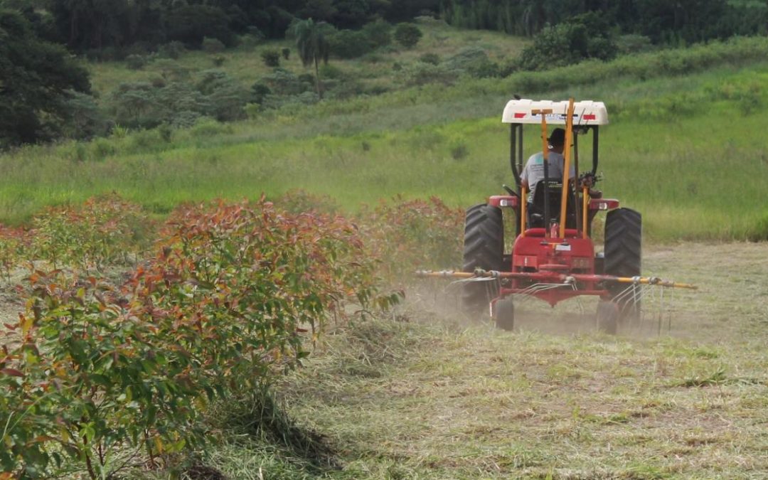 Setor agropecuário é responsável por queda no emprego em Bariri