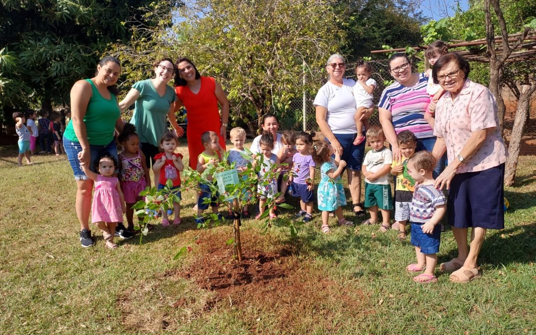 BARIRI: Alunos da Creche Madre Leônia fazem plantio de árvores
