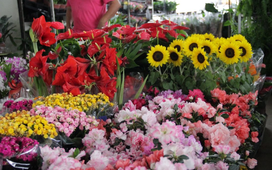 Bauru: Ceagesp em Flor acontece de 22 a 24 de setembro