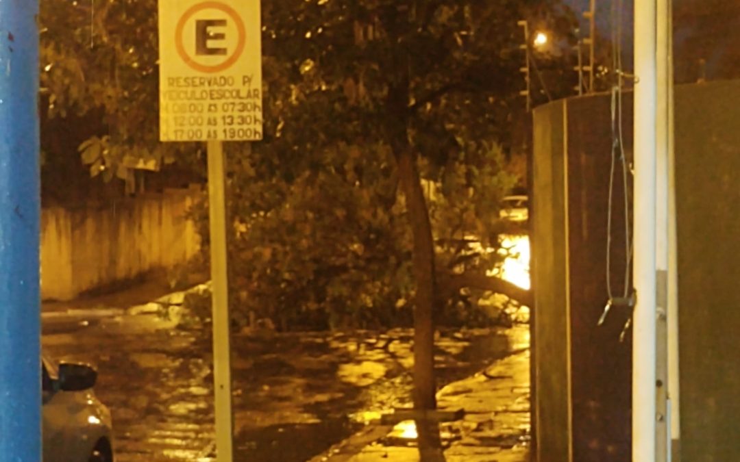 Temporal provoca estragos em Bariri