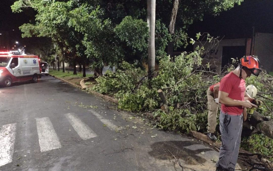 Laudo aponta problemas no fornecimento de energia elétrica em Bariri