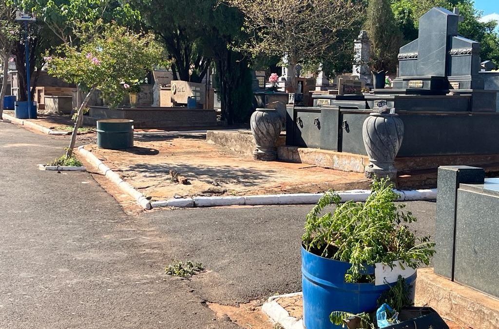 Campanha visa estimular o descarte correto de vasos no cemitério