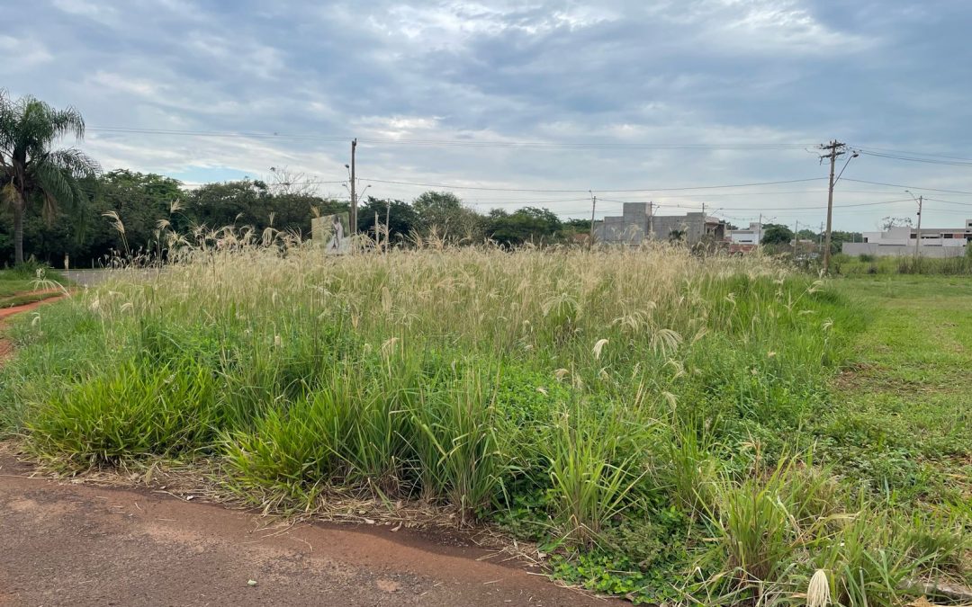 Cidade: Fiscalização autua 94 terrenos sujos em dois dias