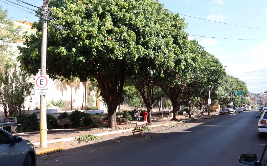 Bariri: Praça da Matriz passa por manutenção