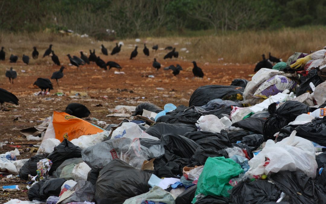 Cidade: Cetesb adverte e multa prefeitura por irregularidades na área do transbordo
