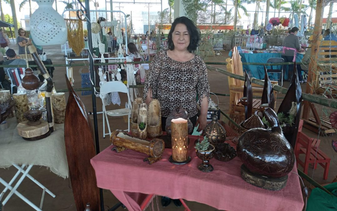 Cultura: Artesanato de Geni Vieira representa Bariri no Revelando SP