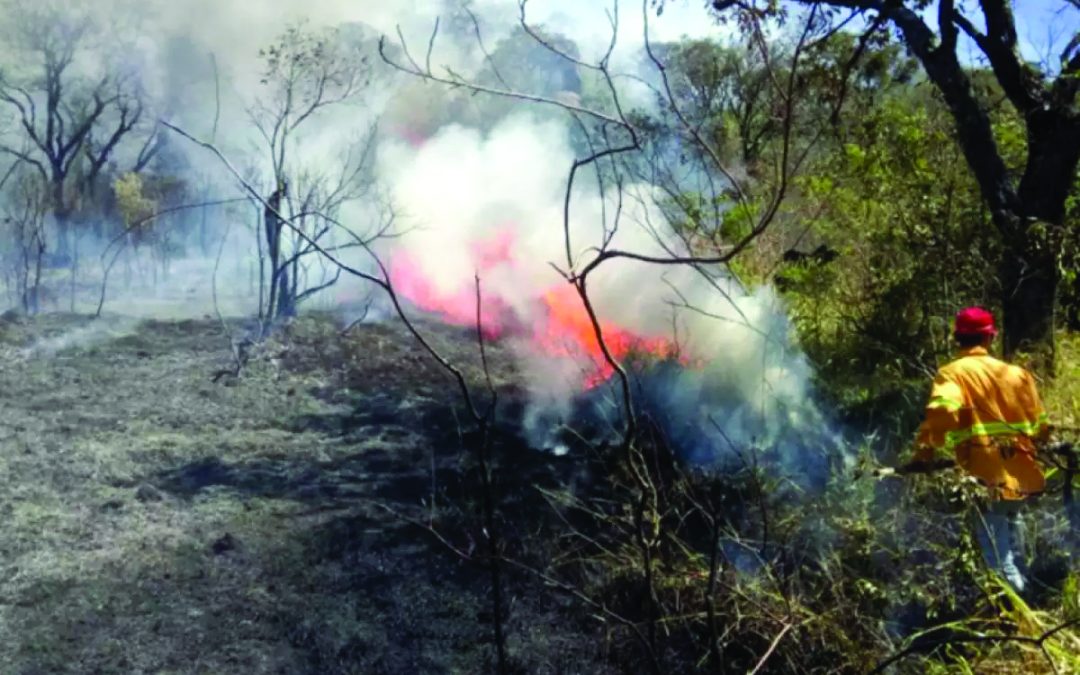 Região: Estado alerta para queimadas e umidade está em nível de deserto