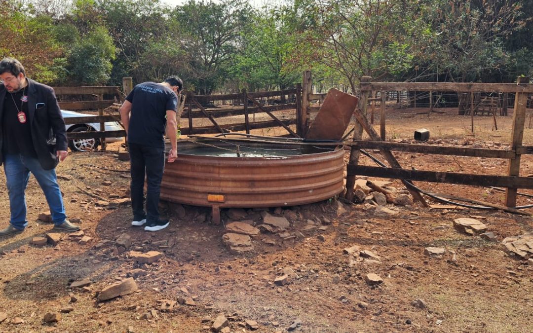 Polícia: Homem é preso em Bariri por crime ambiental