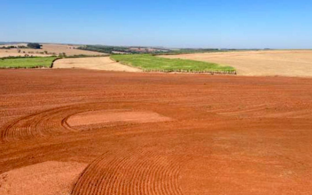 Justiça manda leiloar fazenda em Bariri por R$ 13 milhões