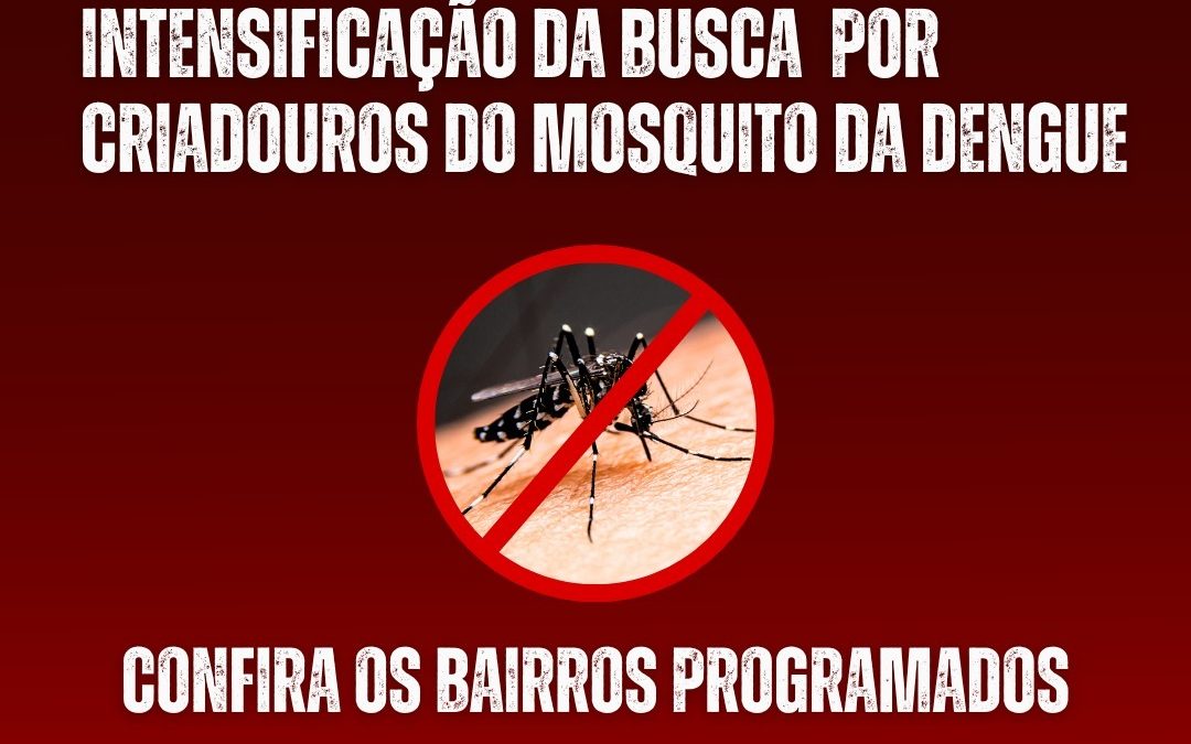 Saúde: Saúde intensifica busca por criadouros de mosquito da dengu