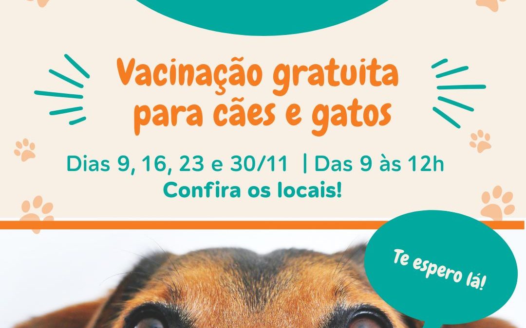 Saúde: Vacinação gratuita contra a raiva para cães e gatos começa no dia 9