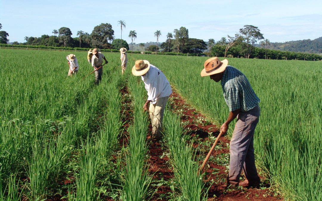 Economia: Bariri é único da região a ter saldo negativo de emprego em 2024