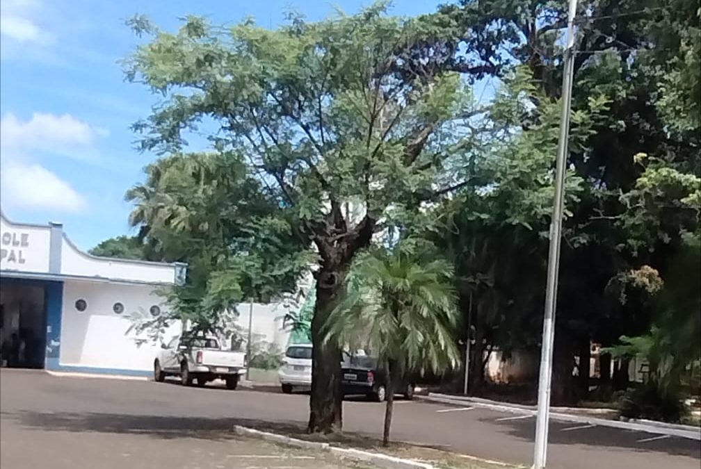 Política: Cemitério Municipal passa por limpeza e manutenção