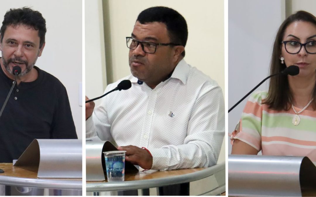 Política: Legislativo: oposição lidera as comissões permanentes