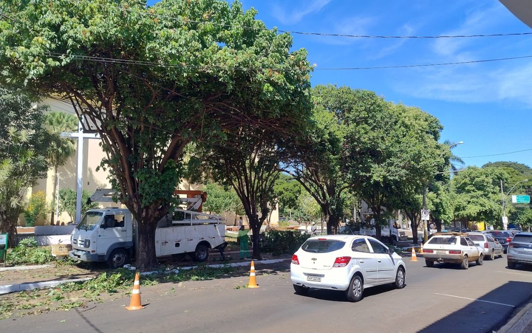 Cidade: Centro de Bariri recebe poda de árvores e luzes de LED