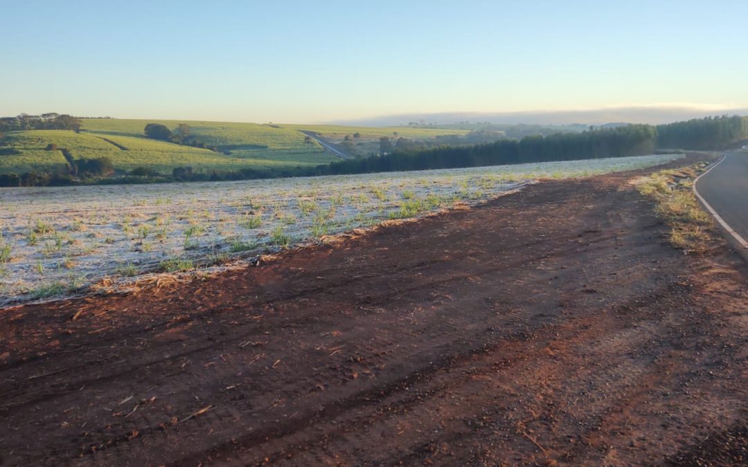 Cidade: Bariri registra geada nesta madrugada