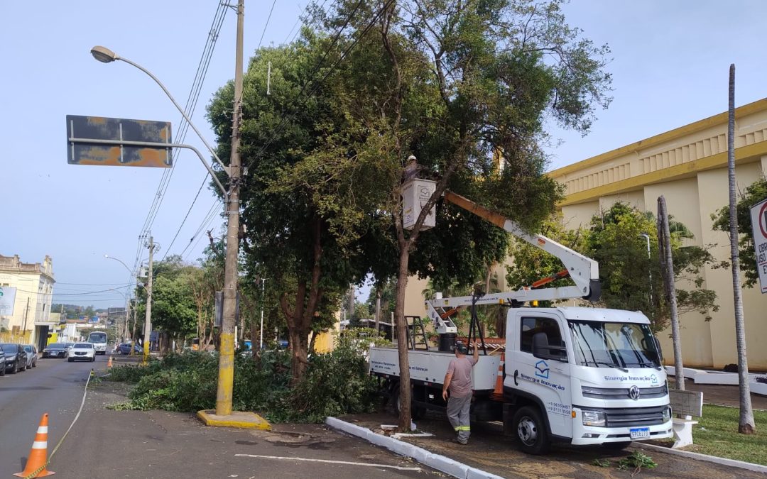 Cidade: Nova poda de árvores é feita na Praça da Matriz