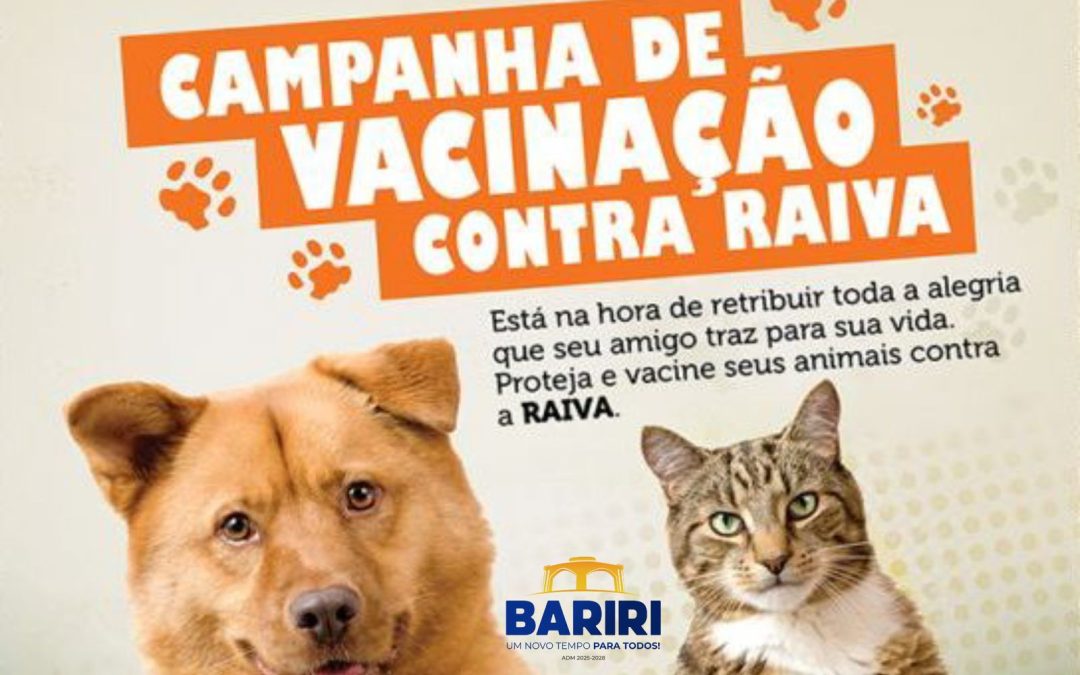 Saúde: Bariri inicia vacinação antirrábica para cães e gatos