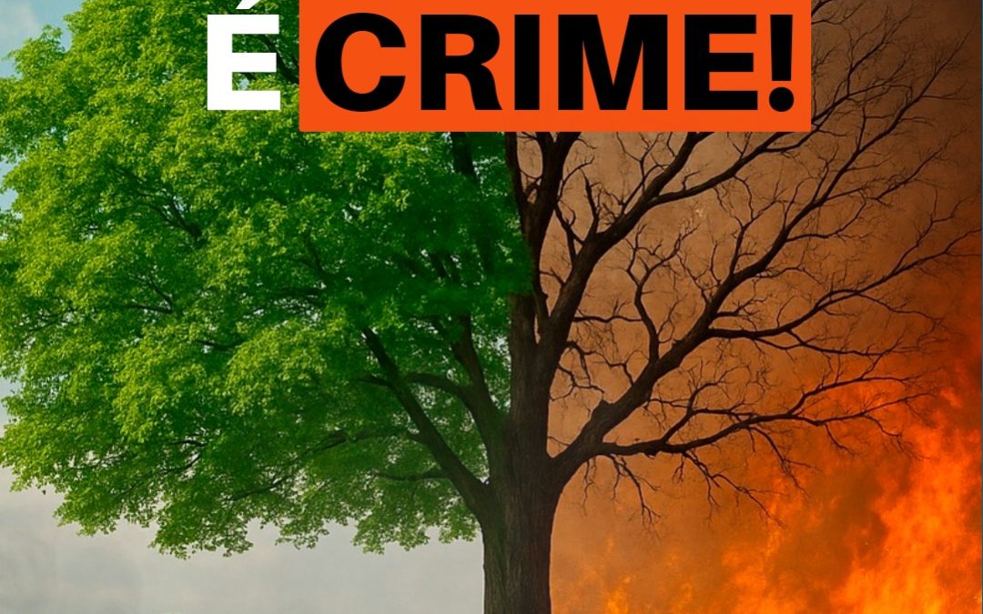 Cidade: Bariri lança campanha de conscientização contra as queimadas