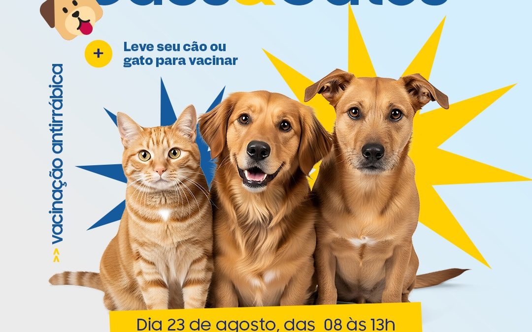 Saúde: Bariri realiza campanha de vacinação antirrábica para cães e gatos