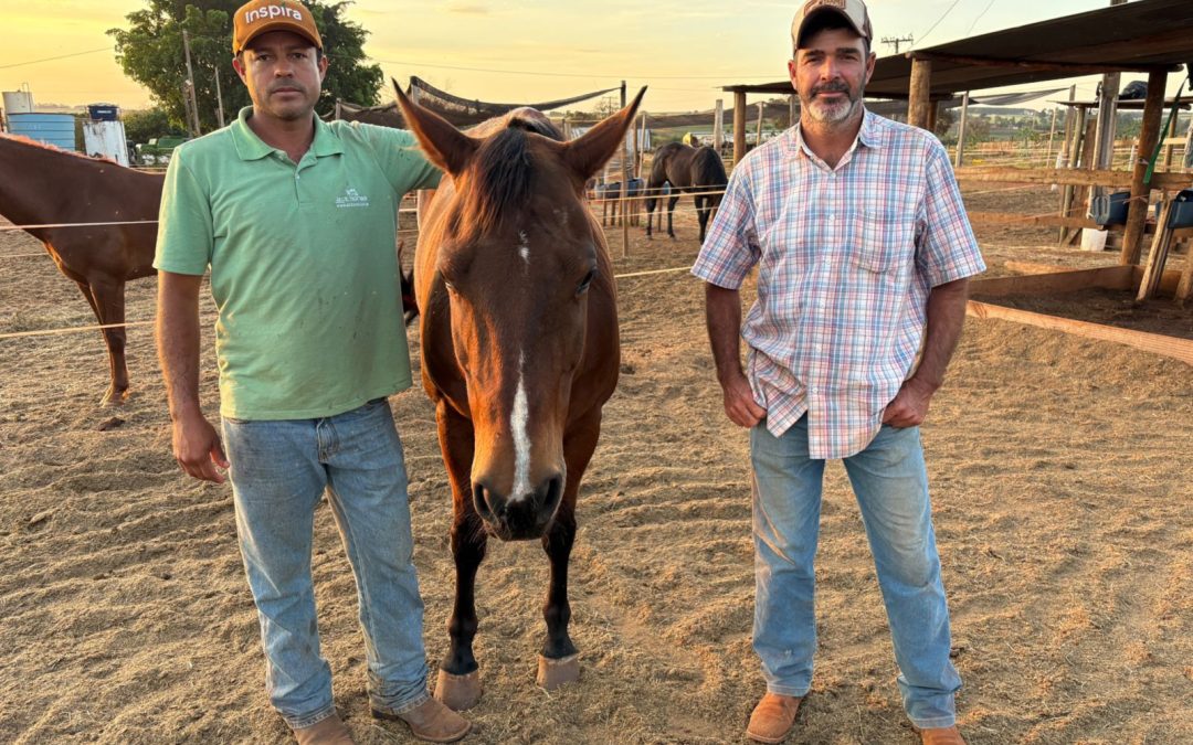 Cidade: Bariri recebe primeira Prova da Família dos três tambores