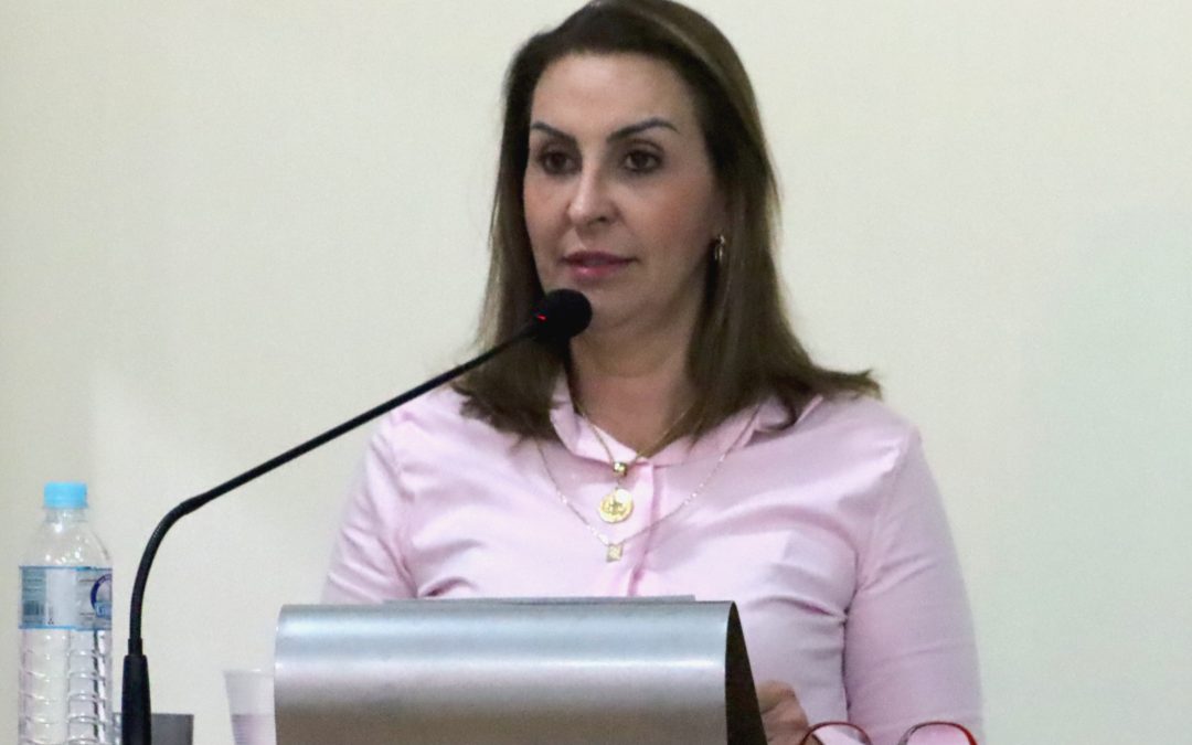 Política: Câmara aprova dois projetos da vereadora Aline Prearo
