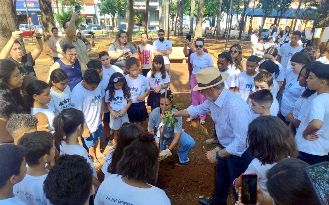 Cidade: Evento promove plantio de mudas de ipês na Praça da Matriz